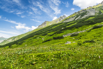 Green valley in the mountains.