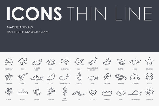 Marine Animals Thin Line Icons