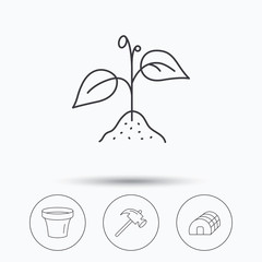 Sprout plant, hammer and pot icons.