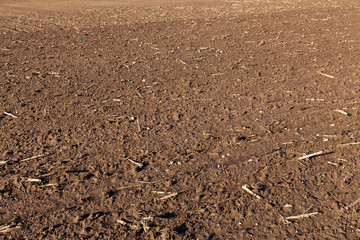 plowed for sowing the land
