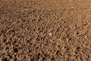 plowed for sowing the land