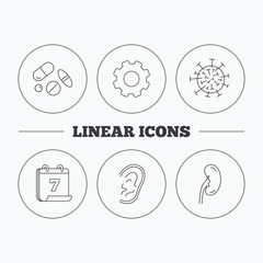 Medical pills, virus and ear icons.