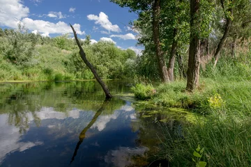 Zelfklevend Fotobehang Summer, the river in the shade of trees © klmari
