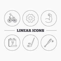 Biking, biceps and ice hockey icons.