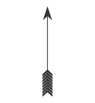 arrow feather vintage decoration icon. Isolated and flat illustration. Vector graphic