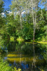 Summer, the river in the shade of trees
