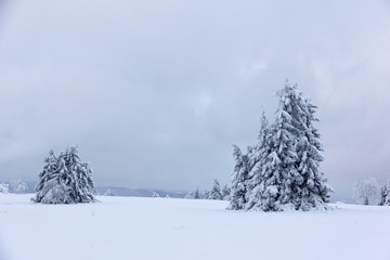 Obraz premium Winter landscape