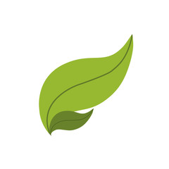 leaf nature plant green icon. Isolated and flat illustration. Vector graphic