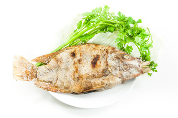 Tilapia grilled salt on white dish on white background