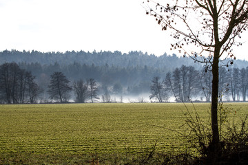 Herbstnebel über dem Feld