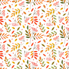 floral seamless pattern with rowan and branches.watercolor hand drawn illustration.white background.