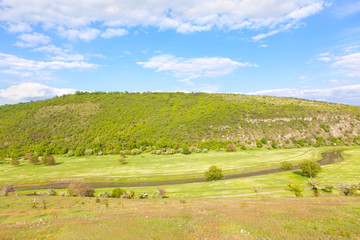 Fototapeta premium green valley of river