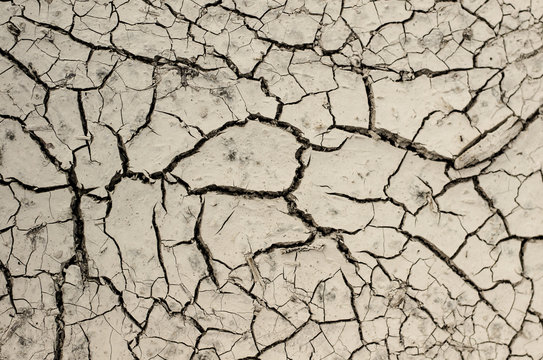 wysuszona, popękana ziemia w trakcie suszy