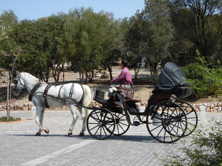 Ath&egrave;nes - Cal&egrave;che &agrave; l'Acropole