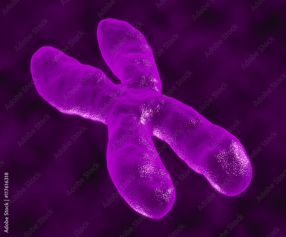 Wall mural 3d render chromosomes group as a concept for a human biology x structure containing dna genetic info