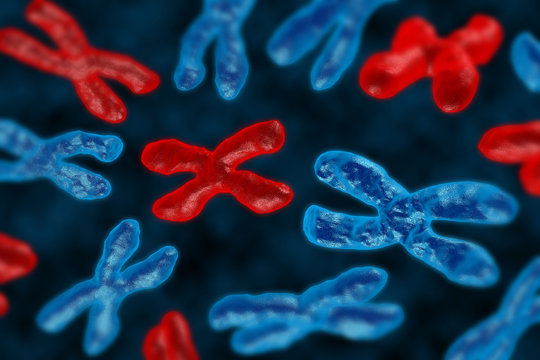3d render chromosomes group as a concept for a human biology x structure containing dna genetic information as a medical symbol for gene therapy or microbiology genetics research.