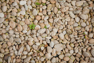 Texture of the bedrock