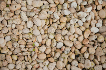 Texture of the bedrock