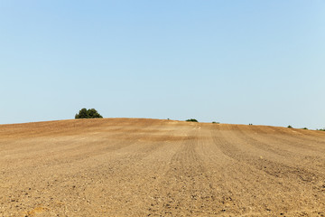 Fototapeta na wymiar plowed land, summer