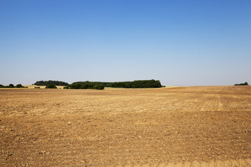plowed agricultural field