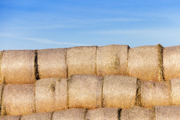 stack of straw in the field