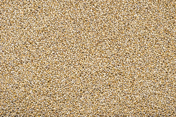 Pearl Millet