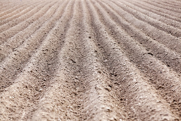 plowed field, furrows