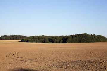 Fototapeta na wymiar plowed agricultural field