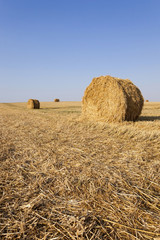 haystacks straw, close up