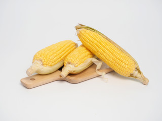corn on white background