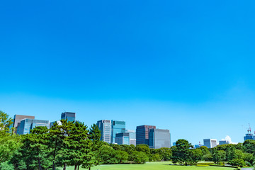 爽やかな緑のビジネス街