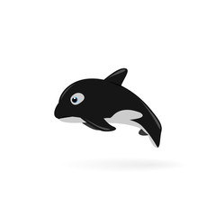 The killer whale (Orcinus orca)  Vector illustration.