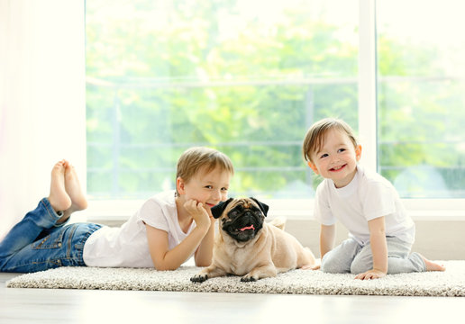 Cute girl and boy with pug on floor in room