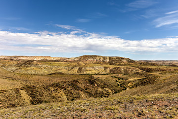 Four Corners - Nature Landscape