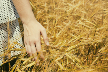 Young woman touching wheat on a field