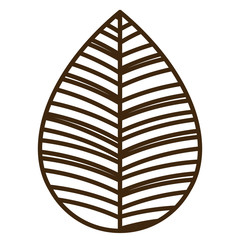leaf drawing  isolated icon design, vector illustration  graphic 