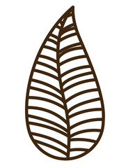 leaf drawing  isolated icon design, vector illustration  graphic 