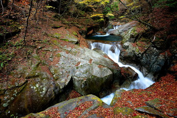 秋の西沢渓谷　三重の滝