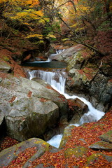秋の西沢渓谷　三重の滝