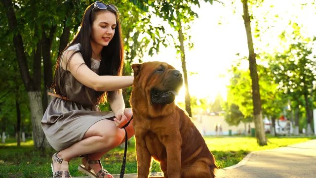 young woman walking in the park with a Shar-Pei