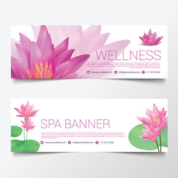 Wellness Spa Yoga banner template flyer menu cover, vector illustration