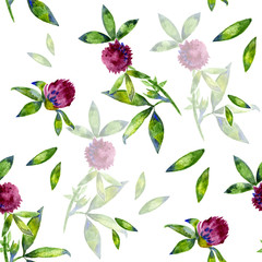 Watercolor Trifolium clover flower texture seamlees pattern