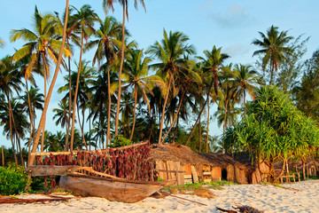 Wooden sailboat  (dhow) and palm trees on a tropical beach of Zanzibar island.