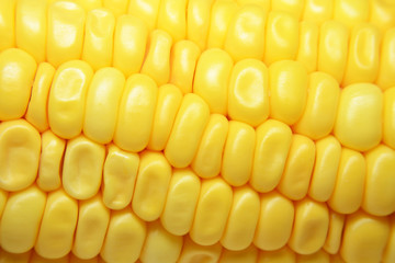 corn in soda ans bubble