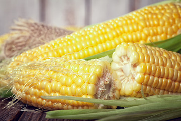 sweet corn cob  close up © circleps