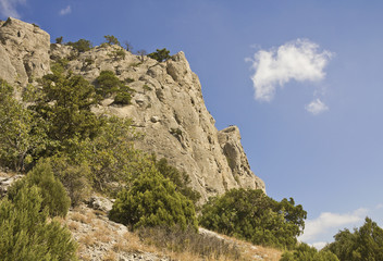 Mountain peaks,overgrown with pines and juniper.