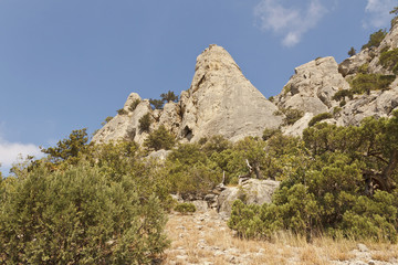 Fototapeta na wymiar Mountain slopes and tops,which grows juniper.