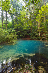 Ochiul Beiului lake in Romania