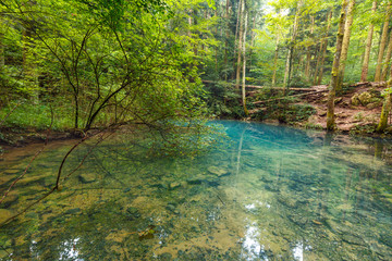 Ochiul Beiului lake in Romania