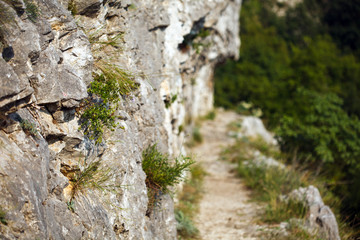 Hiking trail with safety cables
